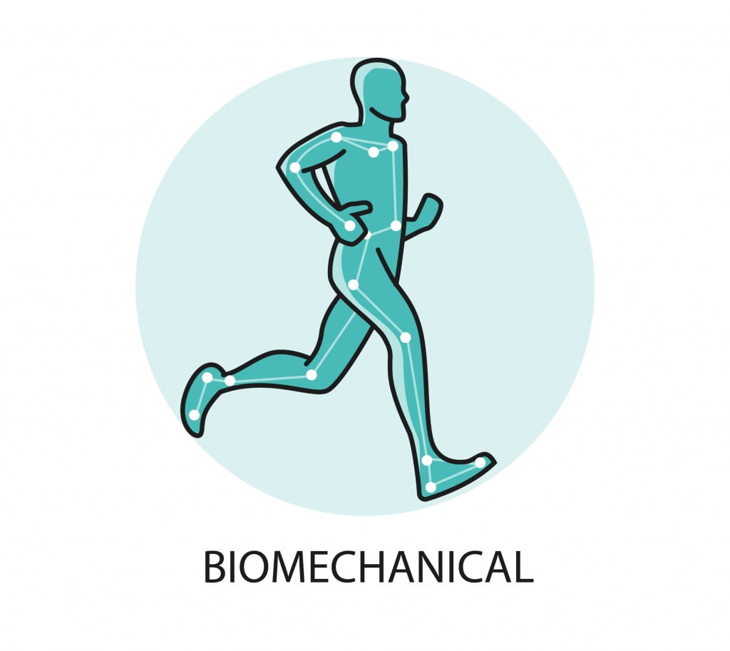 Bio Mechanical
